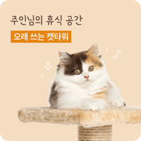광고 소재 제작 지원